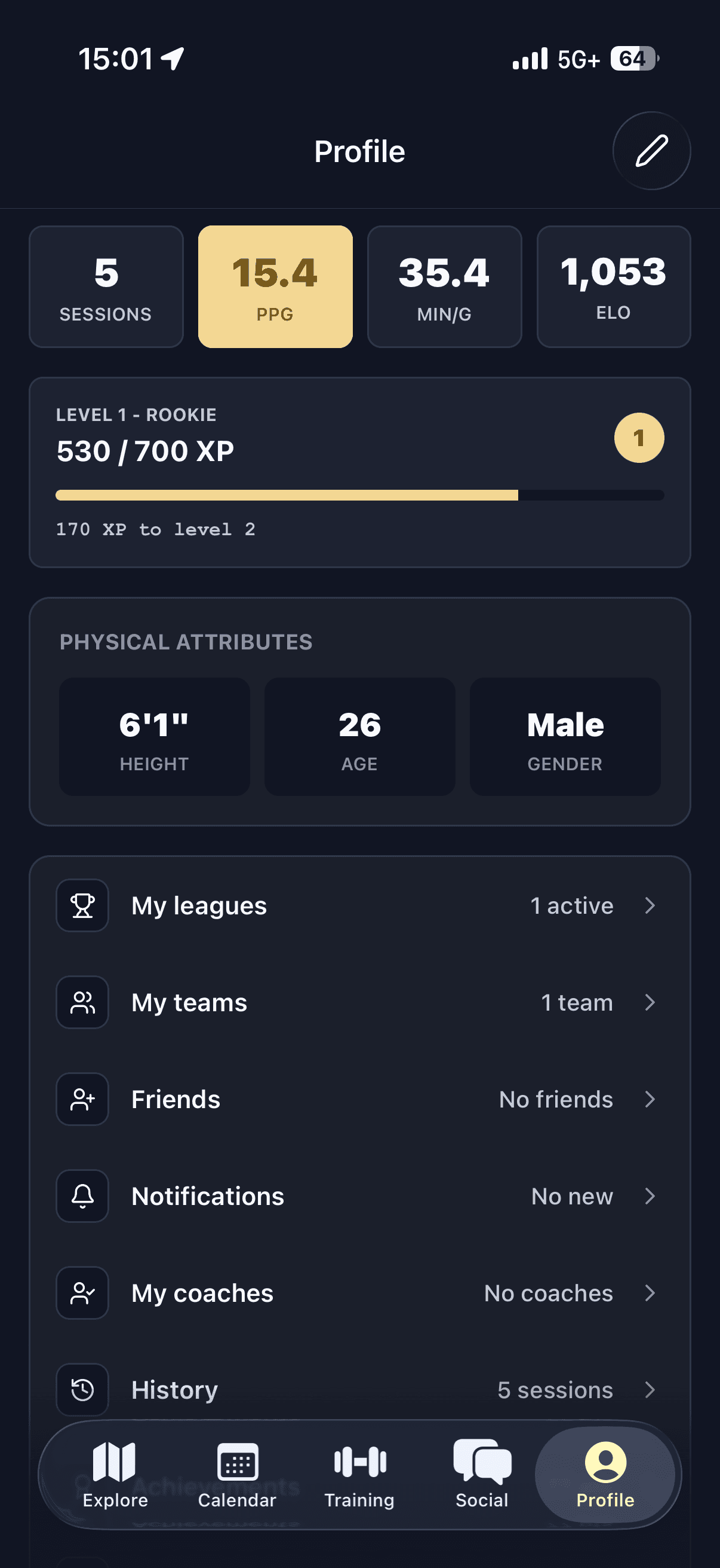 Player profile with stats, level and physical attributes